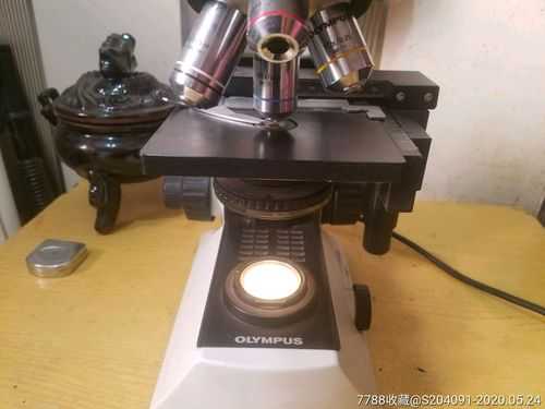 光学仪器显微镜灯不亮怎么回事,光学仪器显微镜灯不亮怎么回事儿 
